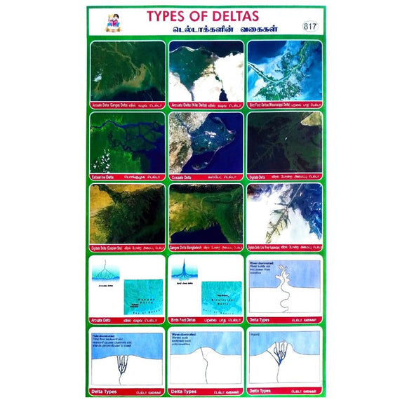 Types Of Deltas School Project Chart Stickers