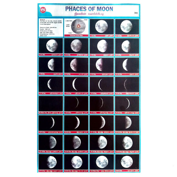 Phases Of Moon School Project Chart Stickers