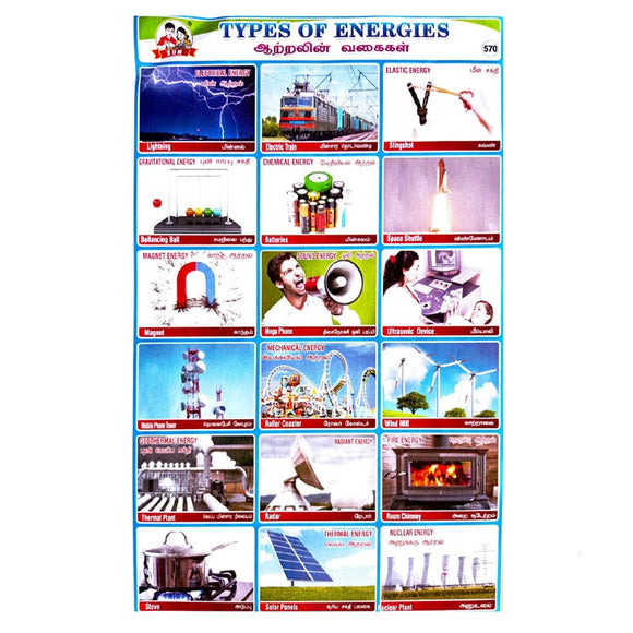 Types Of Energies School Project Chart Stickers