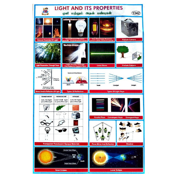 Light & Its Properties School Project Chart Stickers