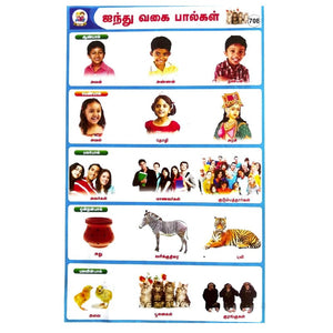 ஐந்து வகை பால்கள் School Project Chart Stickers