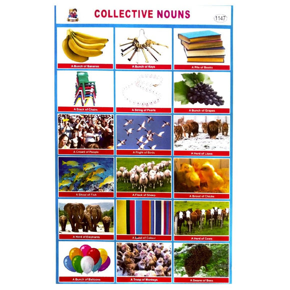 Collective Nouns School Project Chart Stickers