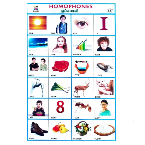 Homophones School Project Chart Stickers