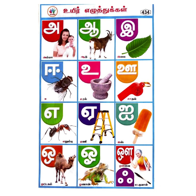 உயிர் எழுத்துக்கள் School Project Chart Stickers - Clickere