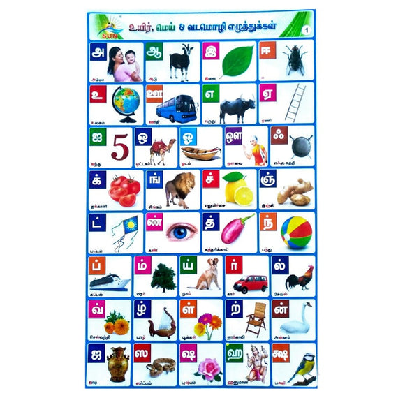 உயிர், மெய் & வடமொழி எழுத்துக்கள் School Project Chart Stickers
