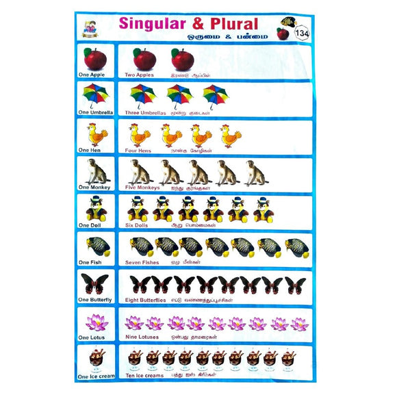 Singular & Plural School Project Chart Stickers