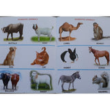 Kids Book of Animals With Multiple Pictures