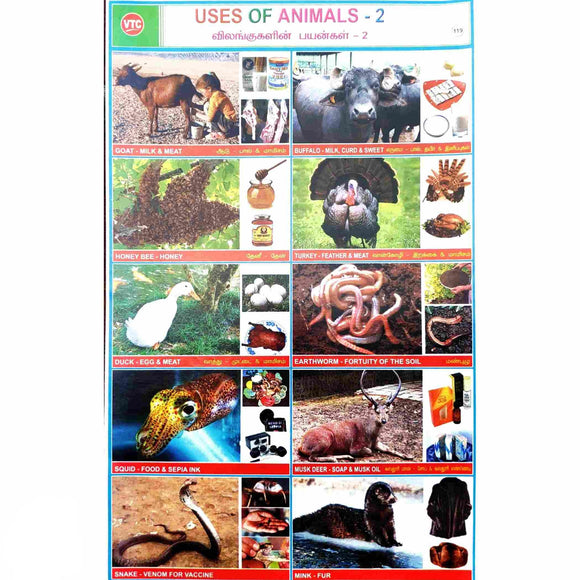 Uses of Animals - 2 School Project Chart Stickers