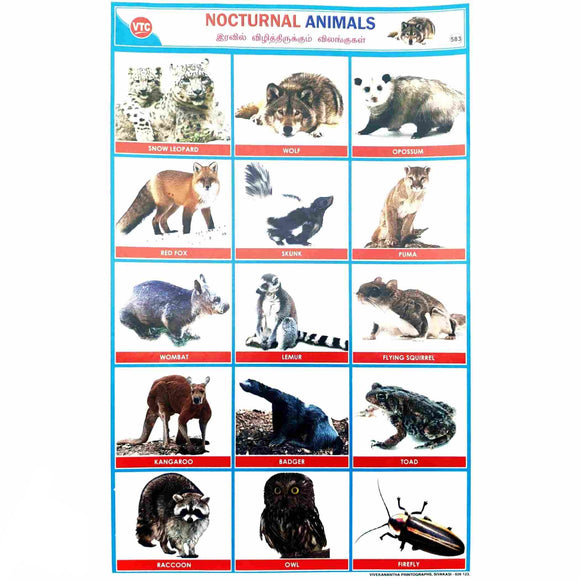 Nocturnal Animals School Project Chart Stickers