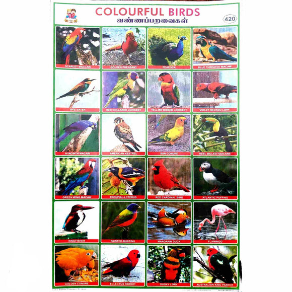 Colourful Birds School Project Chart Stickers