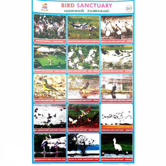 Bird Sanctuary  School Project Chart Stickers