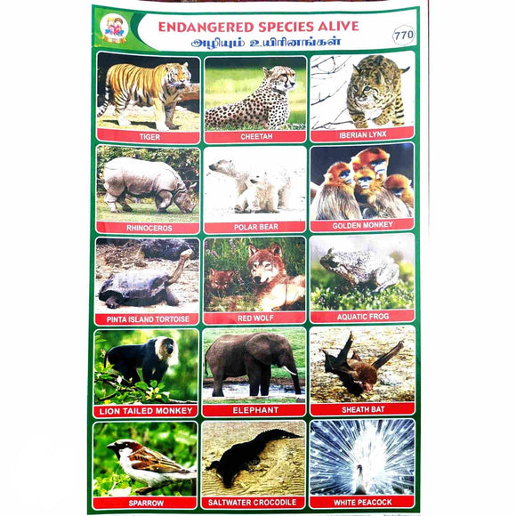 Endangered Species Alive  School Project Chart Stickers