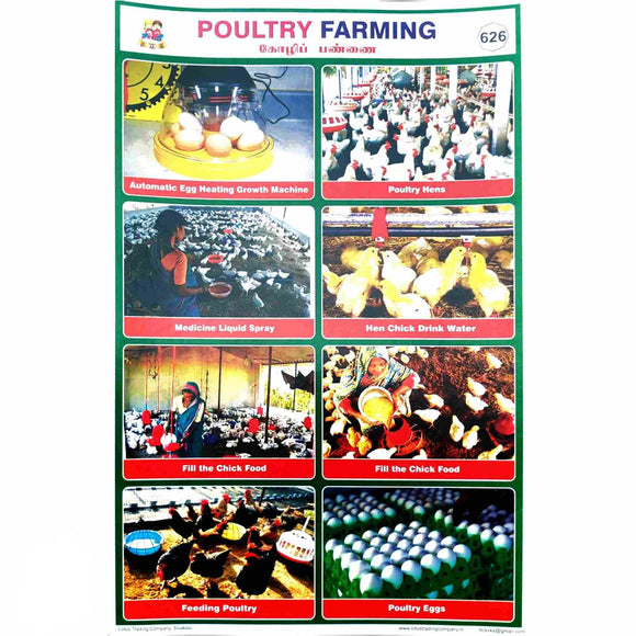 Poultry Farming School Project Chart Stickers