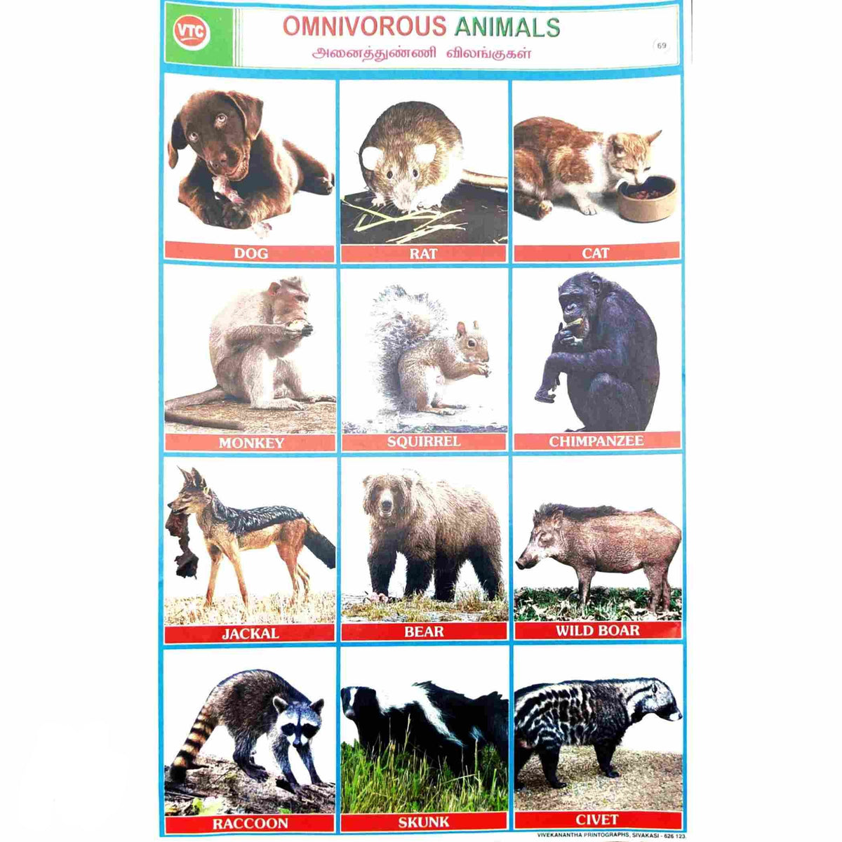 Omnivorous Animals School Project Chart Stickers - Clickere