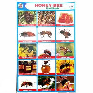 Honey Bee School Project Chart Stickers