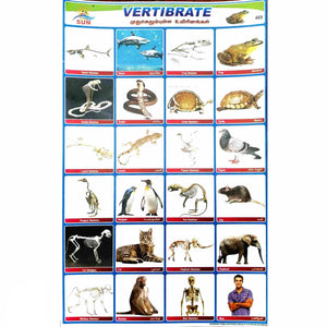 Vertibrate School Project Chart Stickers