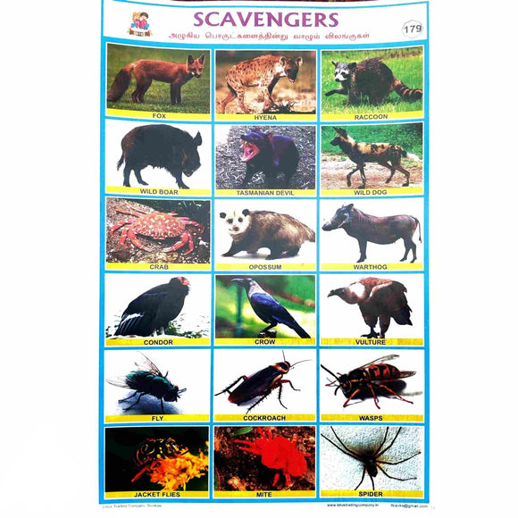 Scavengers School Project Chart Stickers