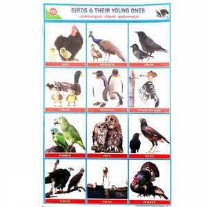 Birds and Their Young Ones School Project Chart Stickers