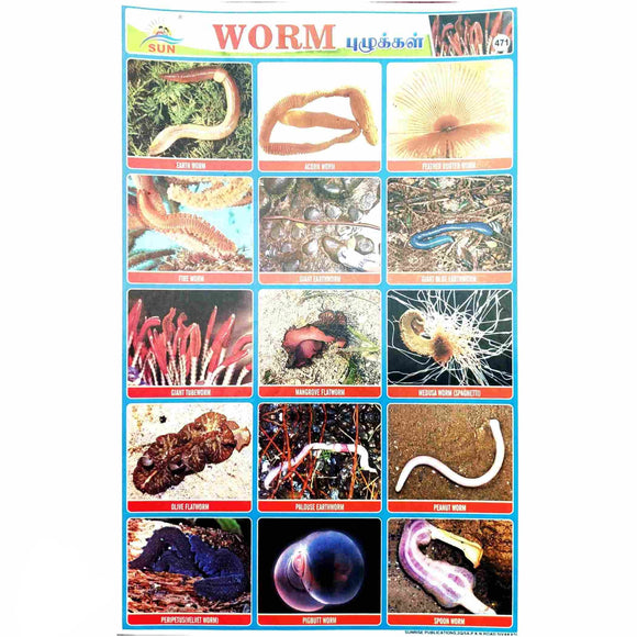 Worm School Project Chart Stickers