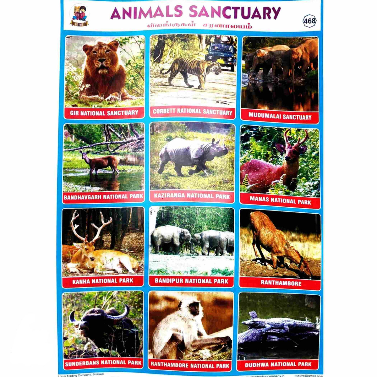 Animals Sanctuary School Project Chart Stickers - Clickere