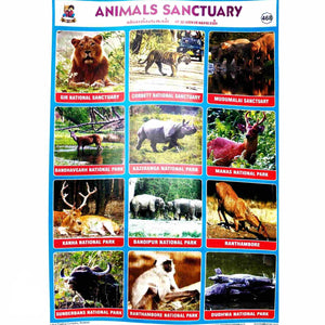 Animals Sanctuary School Project Chart Stickers