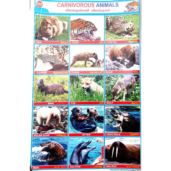 Carnivorous Animals  School Project Chart Stickers