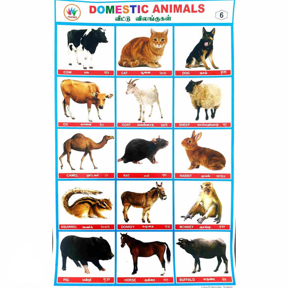 Domestic Animal School Project Chart Stickers