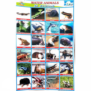 Water Animals School Project Chart Stickers