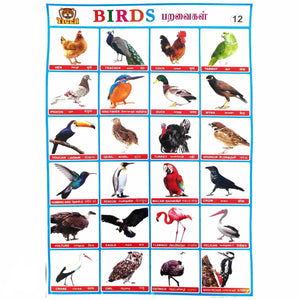 Birds School Project Chart Stickers