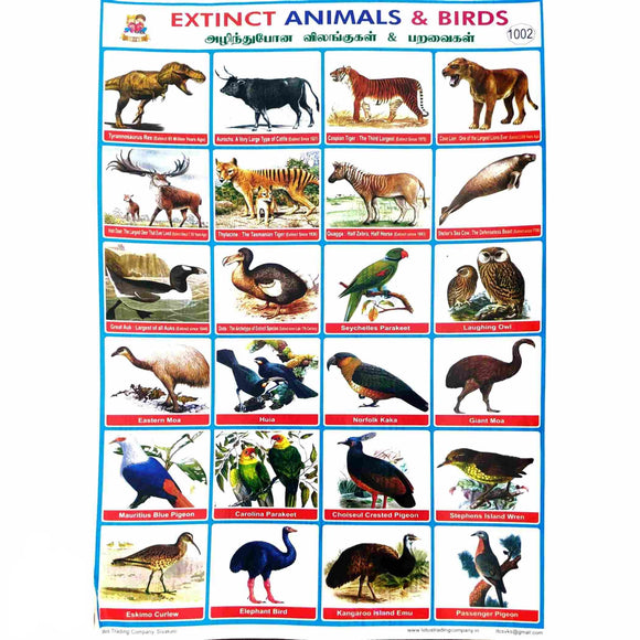 Extinct Animals & Birds School Project Chart Stickers
