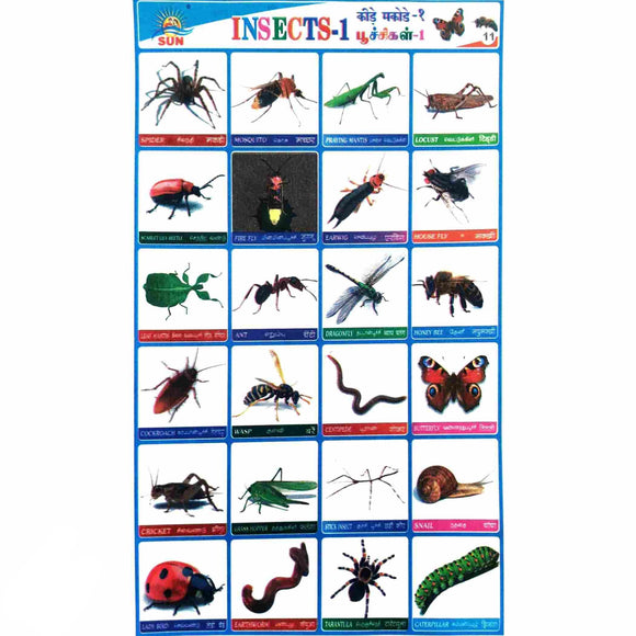 Insects - 1 School Project Chart Stickers
