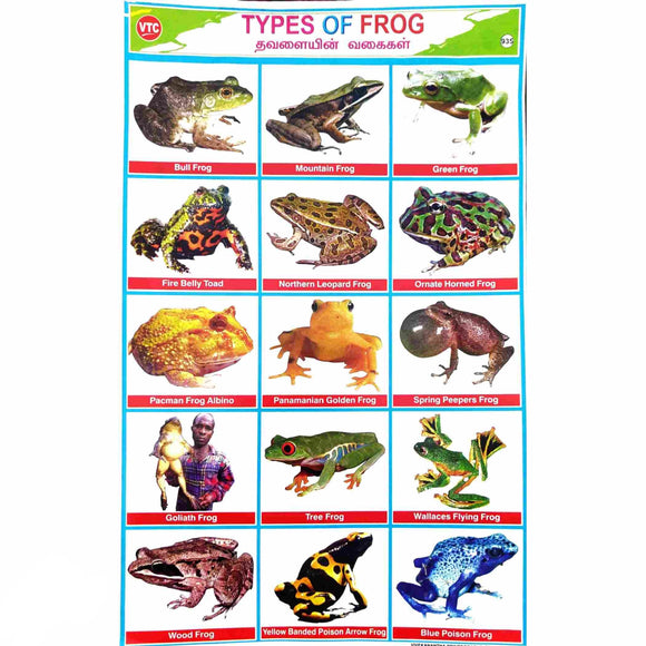 Types of Frog School Project Chart Stickers