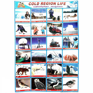 Cold Region Life School Project Chart Stickers