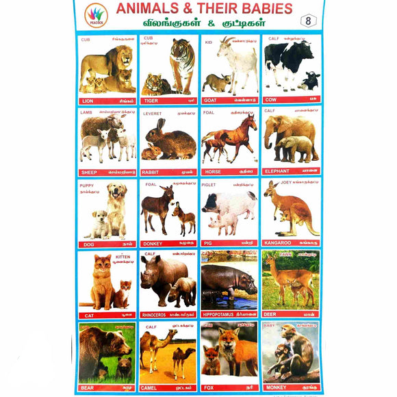 Animals & Their Babies School Project Chart Stickers