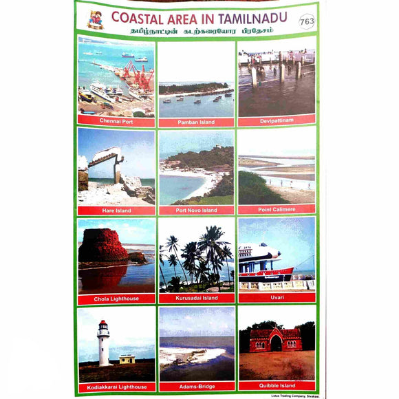 Coastal Area in Tamilnadu School Project Chart Stickers 