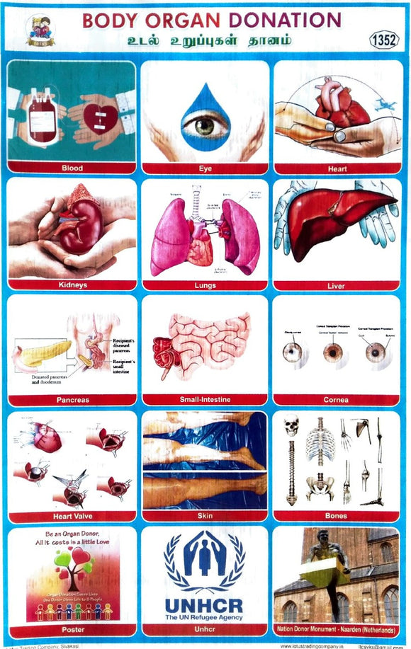 Body Organ Donation School Project Chart Stickers