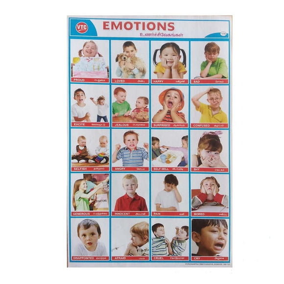Emotions School Project Chart Stickers