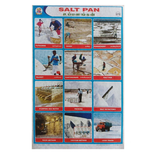 Salt Pan School Project Chart Stickers